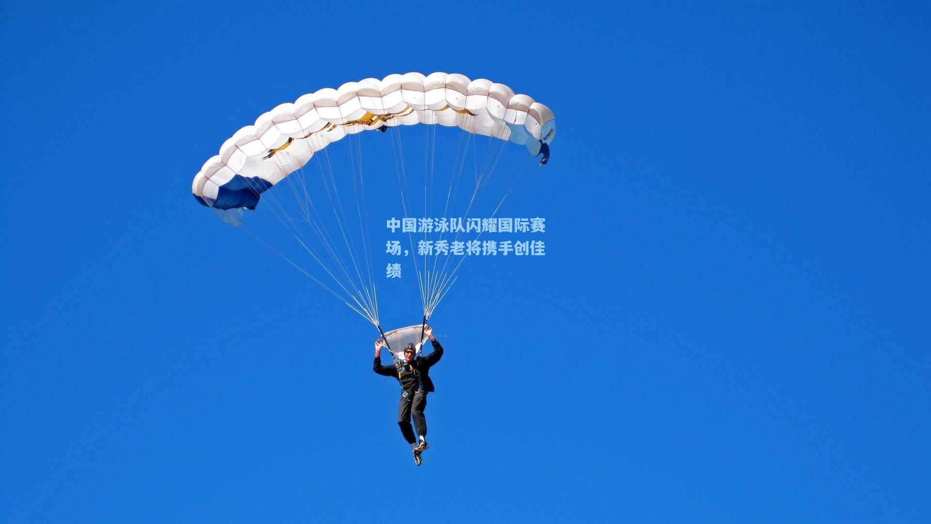 中国游泳队闪耀国际赛场，新秀老将携手创佳绩